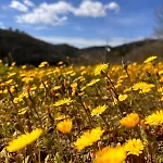 Les Hauts Du Marquet - Meublé De Tourisme 5 Etoiles - De Groupe 15 Personnes En Cévennes - Piscine à Débordement - Balnéo - Sauna - Nature * Saint Jean du Pin