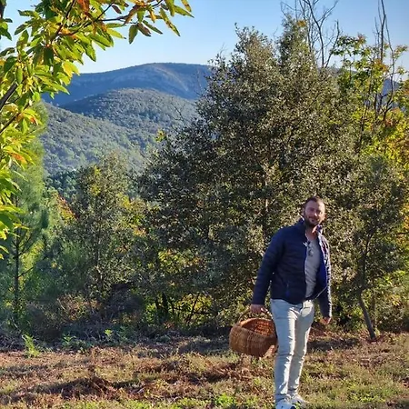 Les Hauts Du Marquet - Meublé De Tourisme 5 Etoiles - De Groupe 15 Personnes En Cévennes - Piscine à Débordement - Balnéo - Sauna - Nature Casa vacanze Saint Jean du Pin