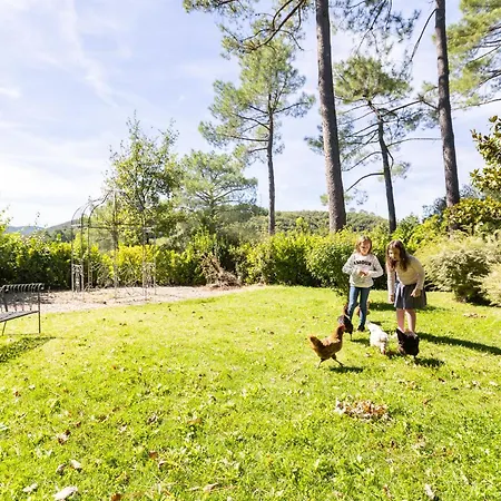 Casa vacanze Les Hauts Du Marquet - Meublé De Tourisme 5 Etoiles - De Groupe 15 Personnes En Cévennes - Piscine à Débordement - Balnéo - Sauna - Nature Saint Jean du Pin